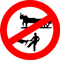 Quiz question illustration